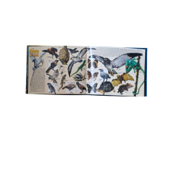 Réunion j’aime ton nom – Livre photo par Serge Gelabert