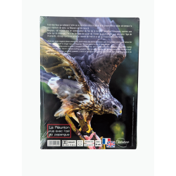 DVD Entre Ciel et Terre – Film de Serge Gélabert – Île de La Réunion