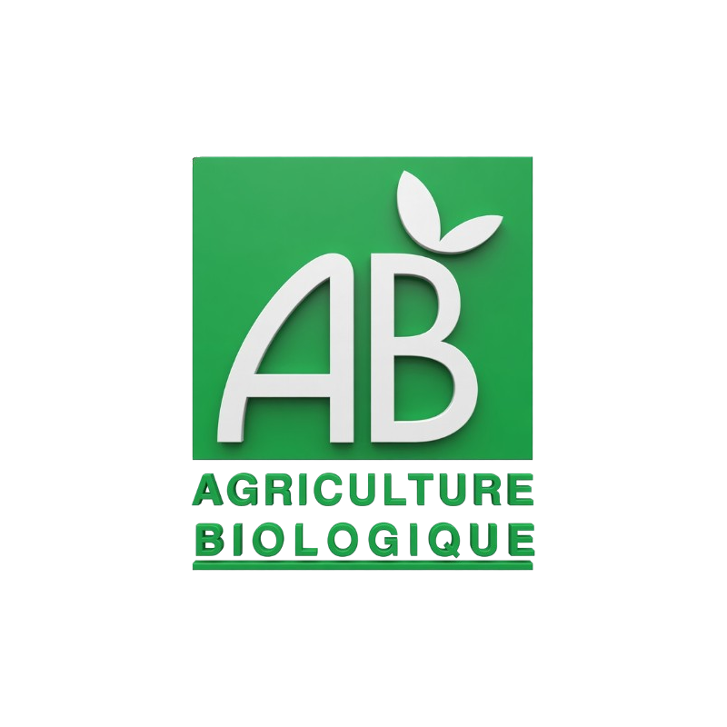 La Belle Cour – Moringa Bio, Pestos Artisanaux et Produits d'Exception de La Réunion | MELGA