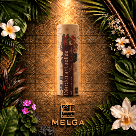 Déodorant solide Piton Hyacinthe 55 g | MELGA