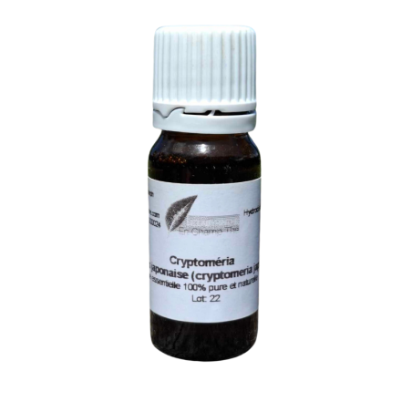 Huile Essentiel de CRYPTOMERIA, en 10ml