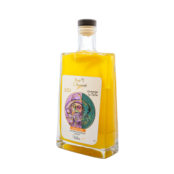 NOUT TI L’ARRANZE -Mangue José de la famille Grondin, le rhum arrangé à la mangue avec la meilleure variété.