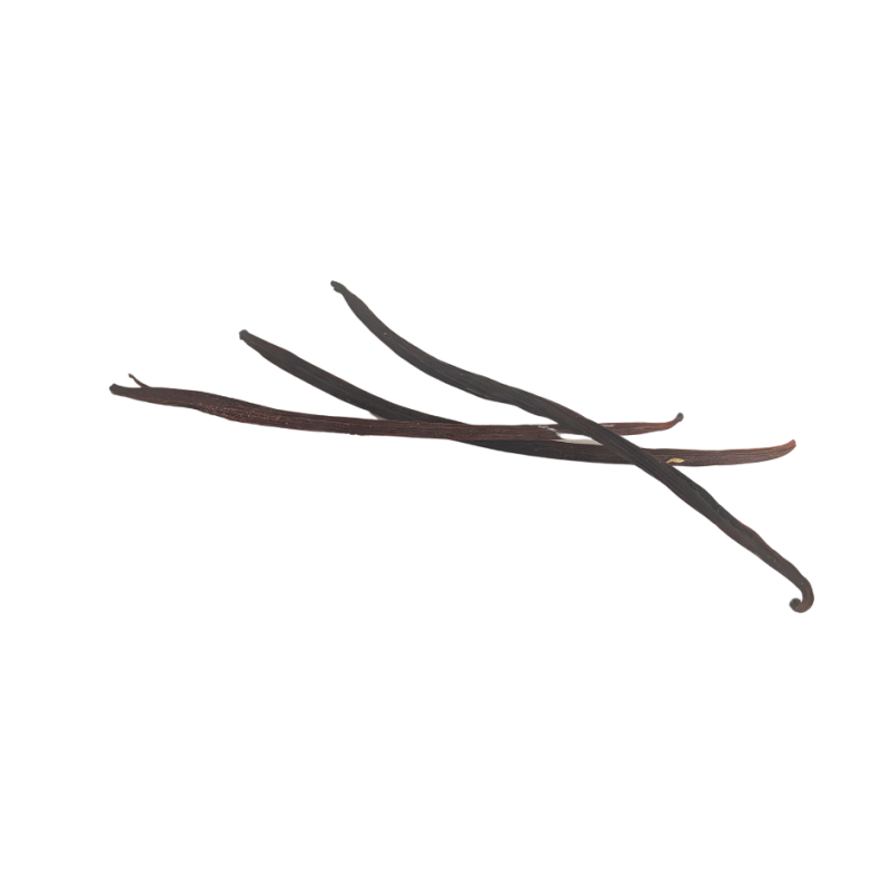 Vanille Bourbon de La Réunion – 3 gousses premium | La Maison du Curcuma