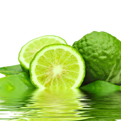 Sirop de Combava – Innovation | Jimmy LEPINAY | Pots Epices