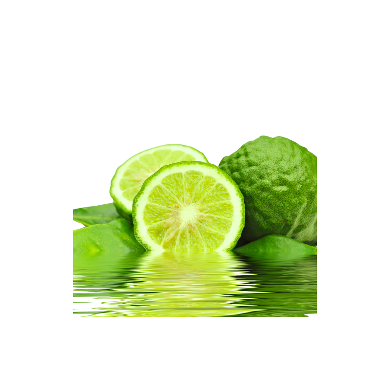Sirop de Combava – Innovation | Jimmy LEPINAY | Pots Epices