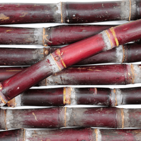 Rhum agricole “Sur Nos Pistes” Payet & Rivière par MELGA REUNION