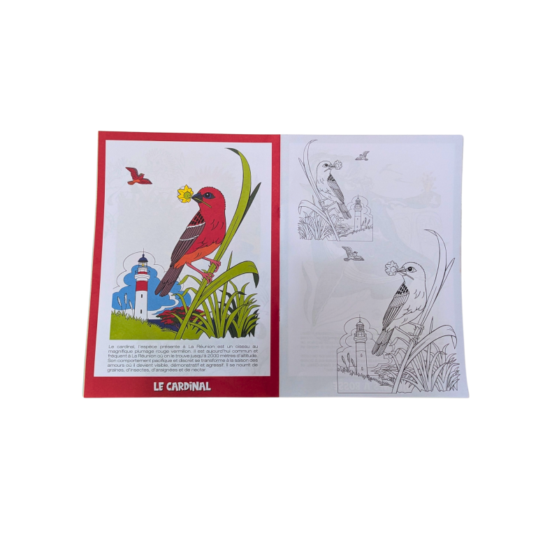 Coloriage Péi – Zanimo La Réunion  Serge Gelabert