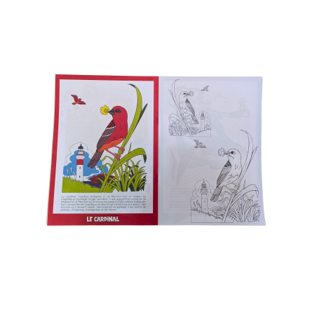 Coloriage Péi – Zanimo La Réunion  Serge Gelabert